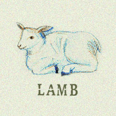 Lamb